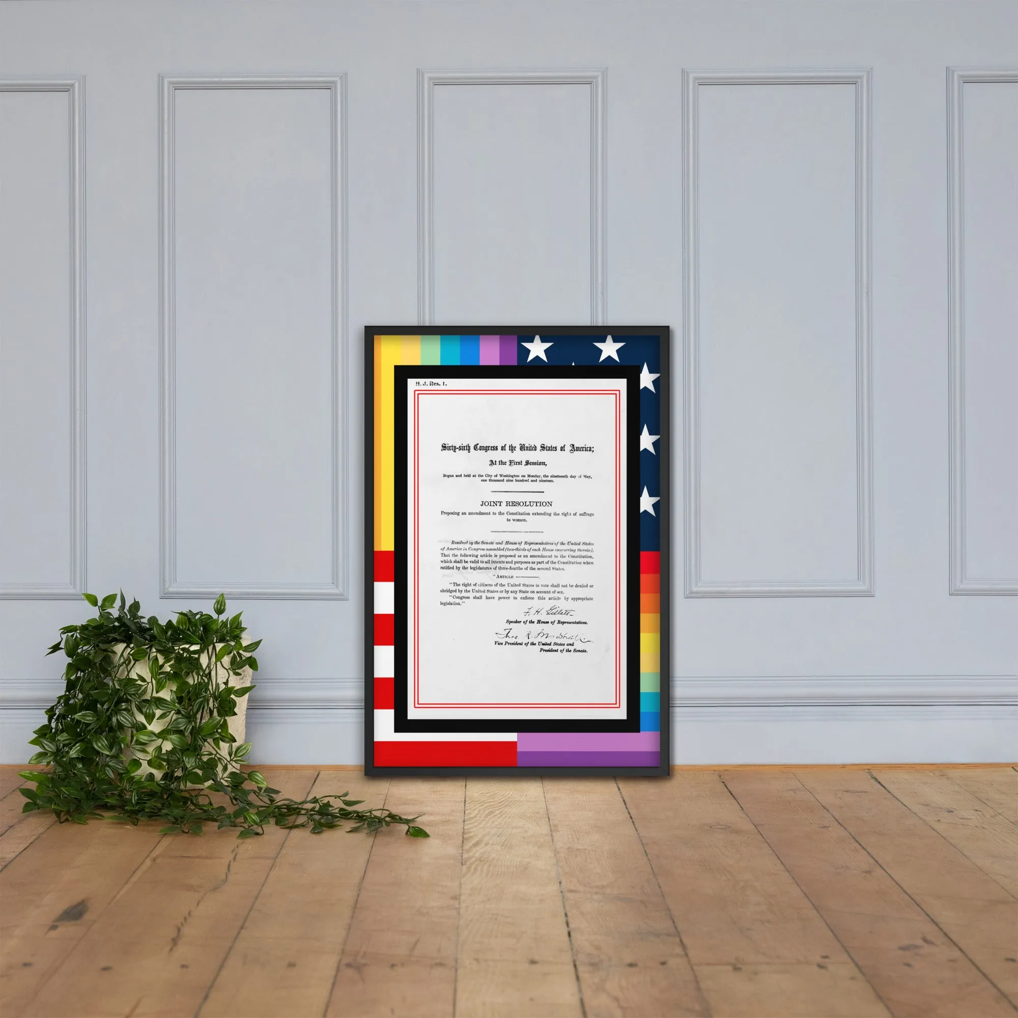 19th Amendment Women's Suffrage Framed poster