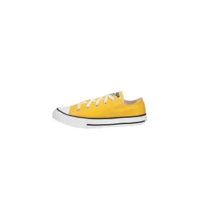 Converse All Star Low Top Sneakers