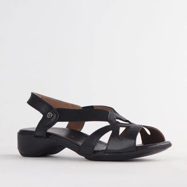 Elasticated Cut-out Sandal in Black - 11519