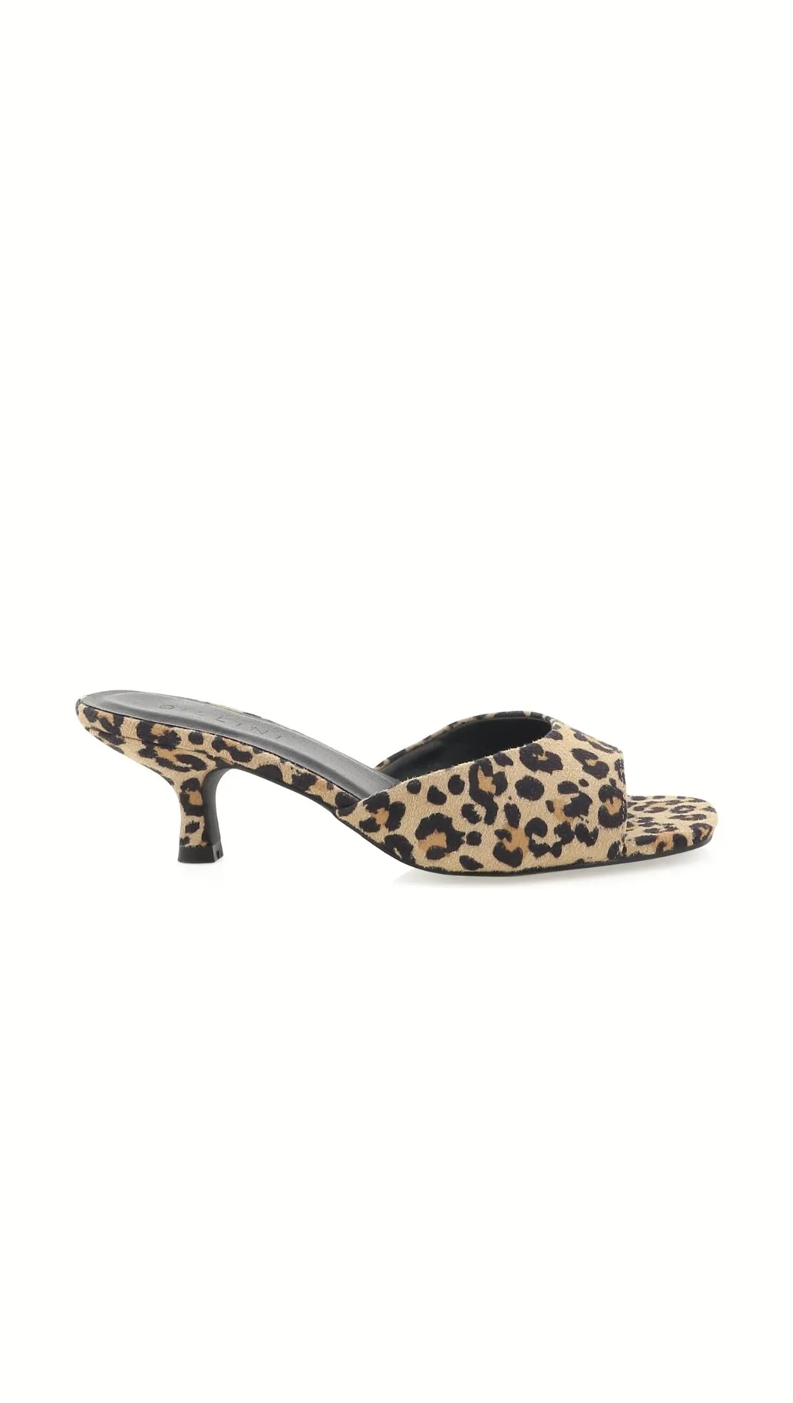 Henriette - Leopard